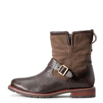 Ariat Savannah Çikolata Bot Bayan (26305-543)